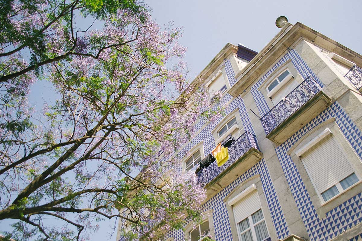 Les azulejos recouvrent les façades des bâtiments à Porto