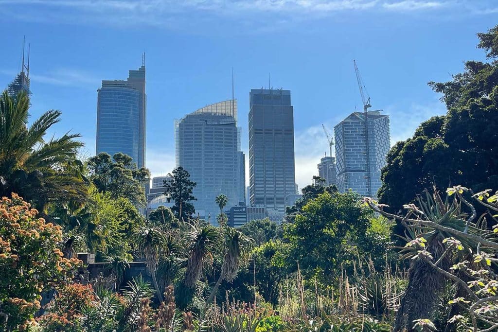 Le Royal Botanic Garden, le jardin botanique de Sydney