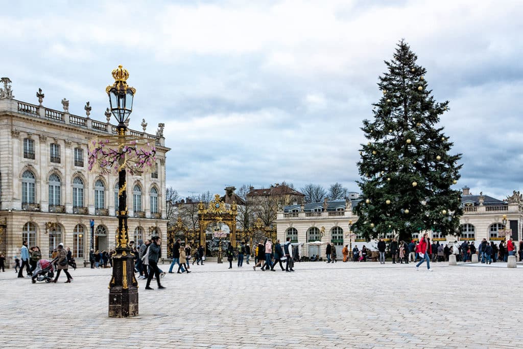 Le grand sapin de la place Stanislas à Nancy