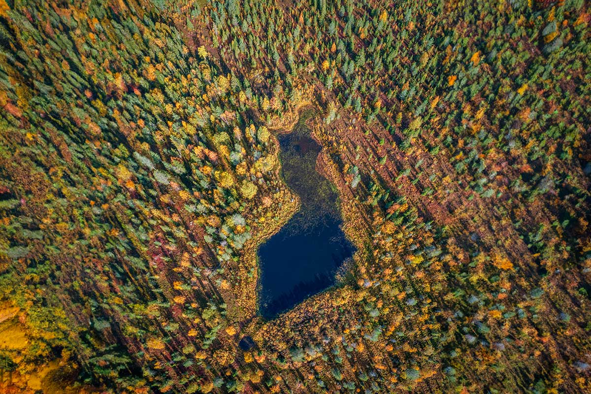 Le lac finlandais Neitokainen a la même forme que la Finlande