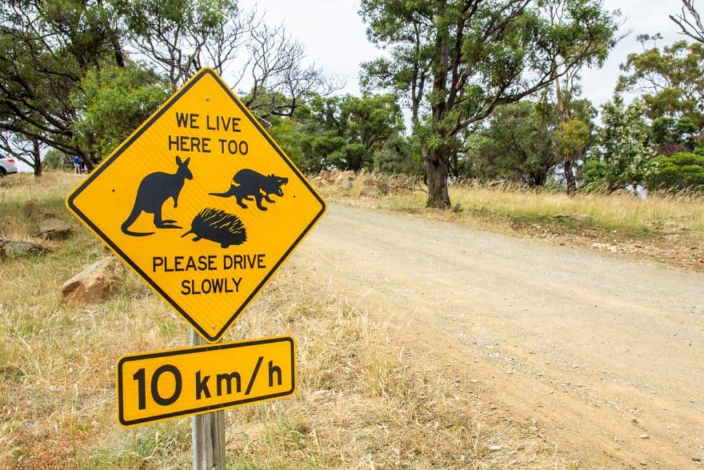 Panneau routier signalant la prÃ©sence d'animaux en Australie