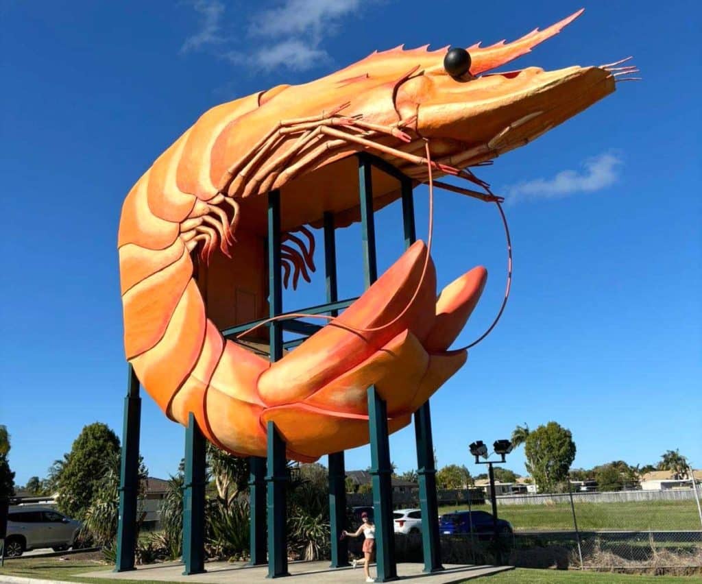 The Big Prawn ou la plus grosse crevette du monde