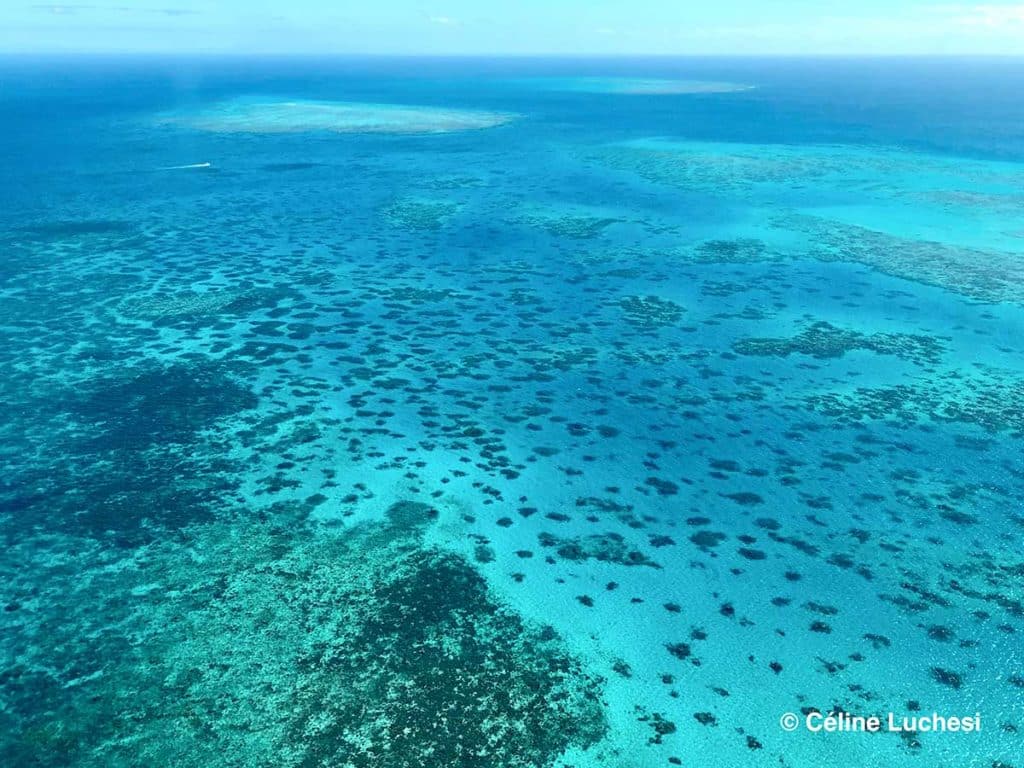 La Grande Barrière de Corail en Australie