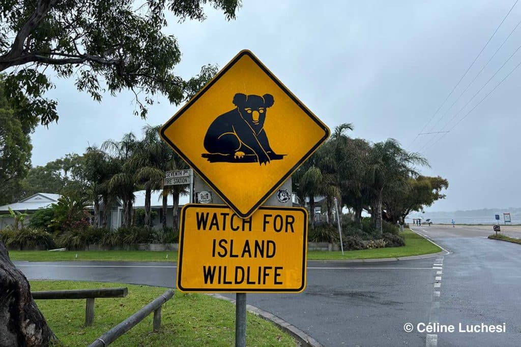 Panneau de signalisation indiquant la prÃ©sence de koalas